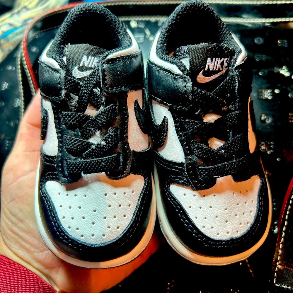 Nike Dunk Toddlers size 3.5